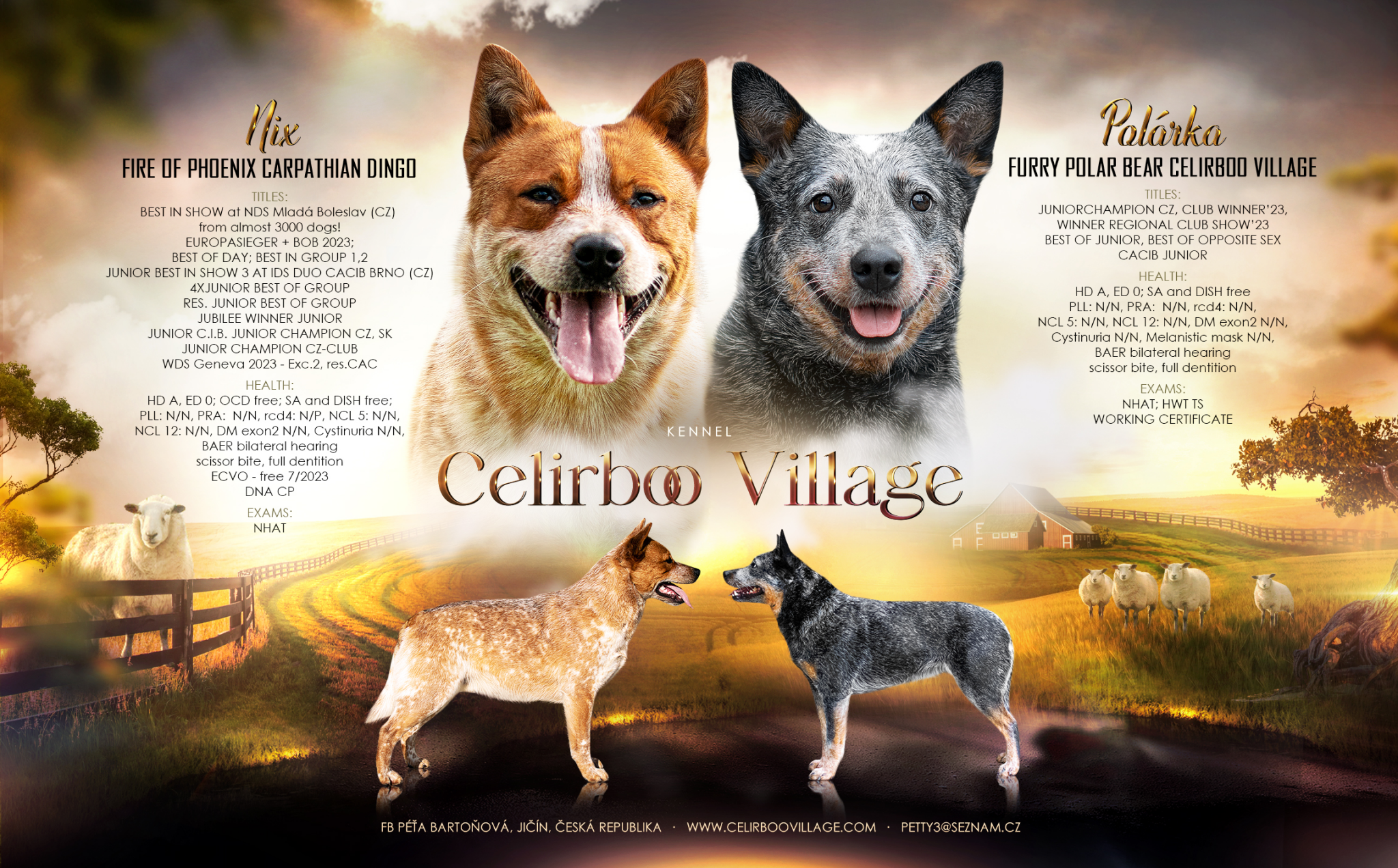 Advertising Celirboo Village